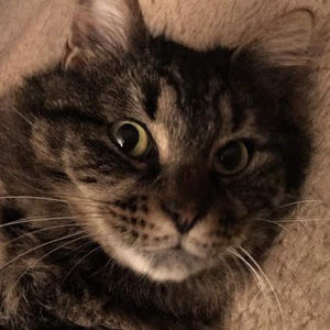 Meet your Posher, Shawn